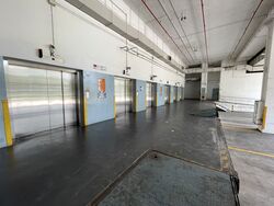 Serangoon North Avenue 5 (D19), Factory #437779061